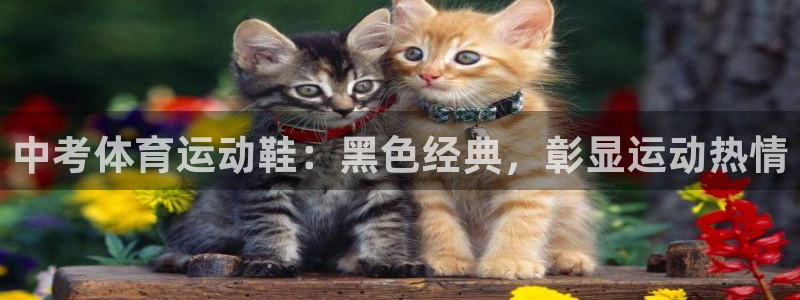 意昂3体育代理申请流程