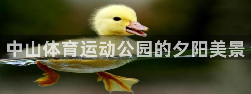 意昂32平台注册