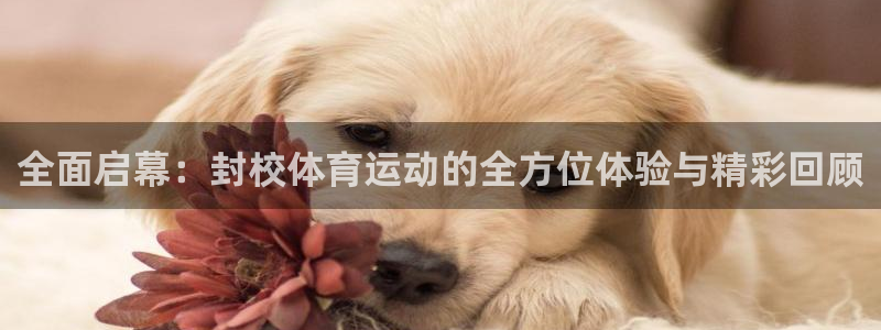 意昂3体育用品