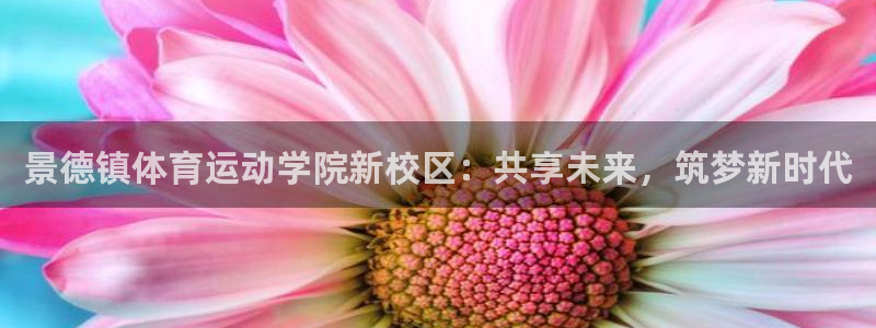 意昂3集团