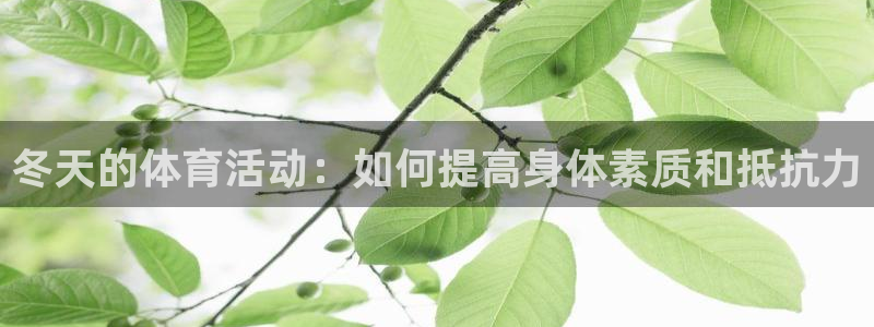 意昂3体育
