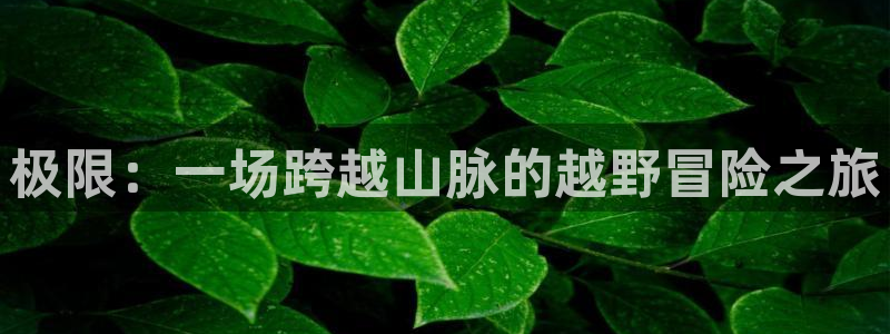 意昂3体育论坛
