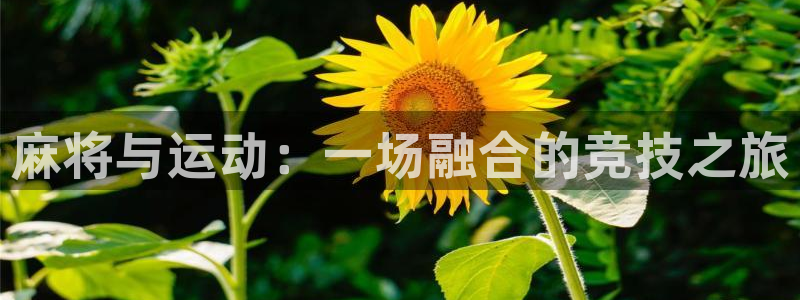 意昂33登陆