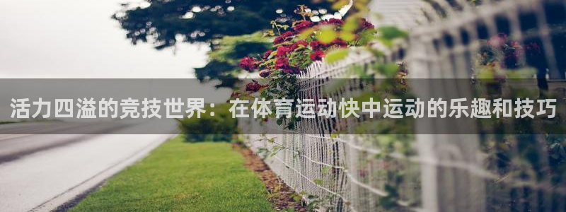 意昂平台登陆