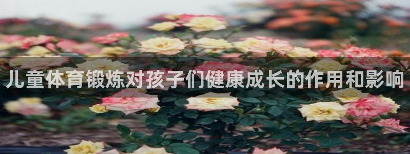 意昂体育注册代理