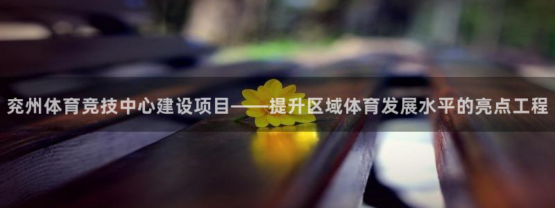 成都意昂电子有限公司