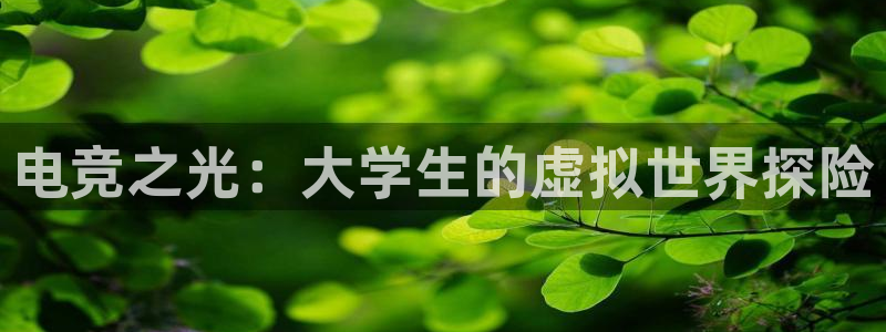 意昂招商
