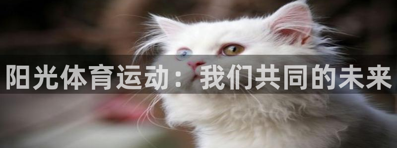 意昂3体育在线注册