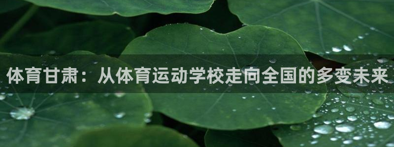 意昂3体育凯捷平台招商