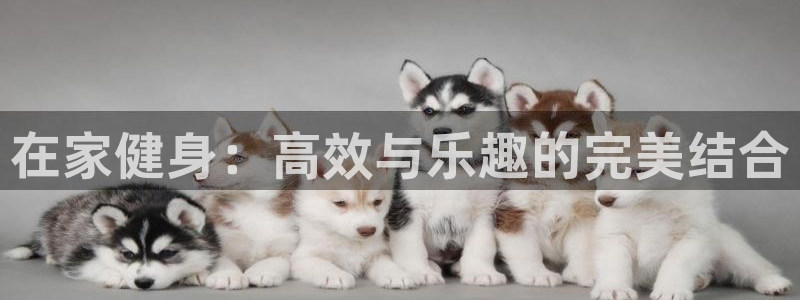 上海意昂3汽车电子有限公司