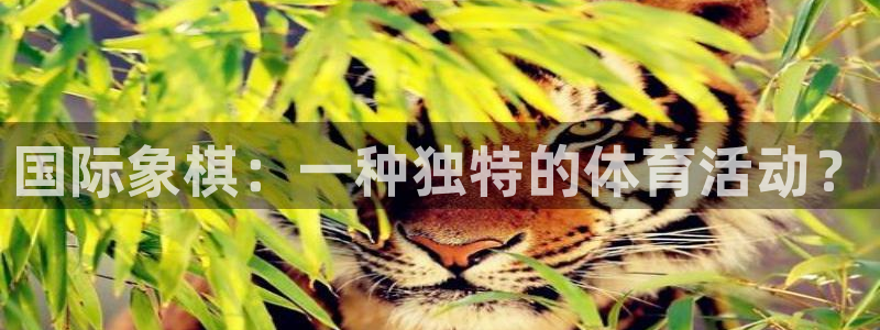 意昂扬是什么意思